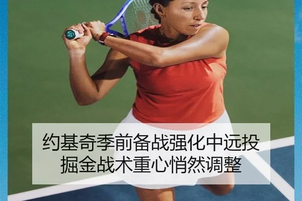 约基奇季前备战强化中远投 掘金战术重心悄然调整